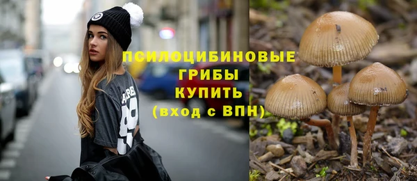 мяу мяу мука Медвежьегорск