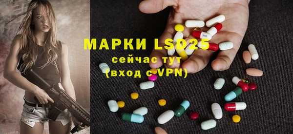 мяу мяу мука Медвежьегорск