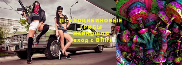 мяу мяу мука Медвежьегорск