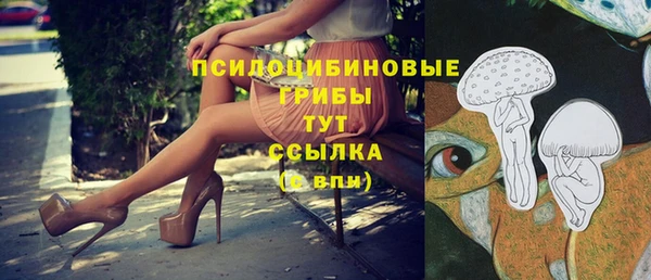 мяу мяу мука Медвежьегорск
