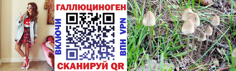 Галлюциногенные грибы Psilocybine cubensis  что такое наркотик  Махачкала 